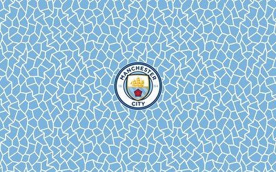 168电竞精华-库利巴利面对斯特林戏耍防守